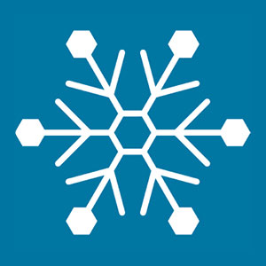 300X300 Icons2