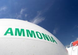 High hopes for ammonia  