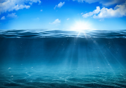 IMO 2020 and beyond