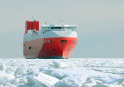 Managing waxy marine fuels