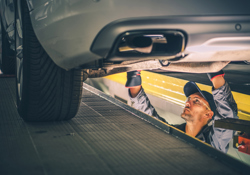 Multi-vehicle driveline fluids