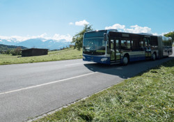 Bus 49 860X400